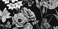 black and white flower art beautiful abstract